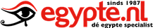 logo icon